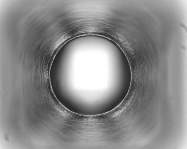 X0000093751073200710301120