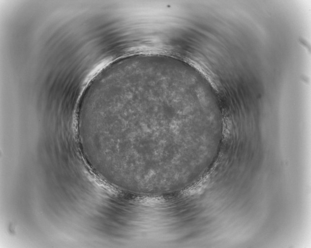 X0000093751074200710301120