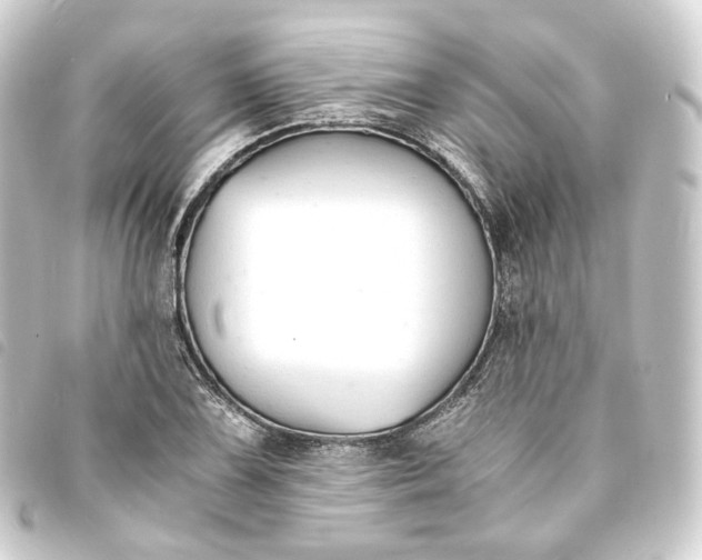 X0000093751075200710301120