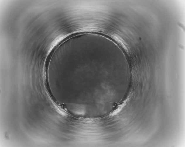 X0000093751077200710301120