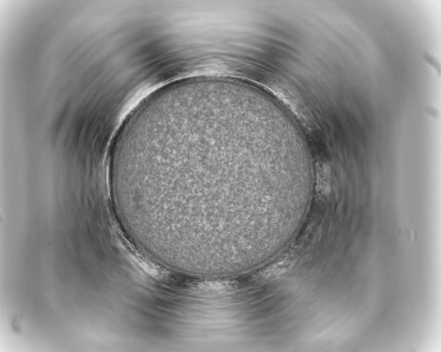X0000093751078200710301120