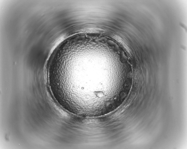 X0000093751083200710301120