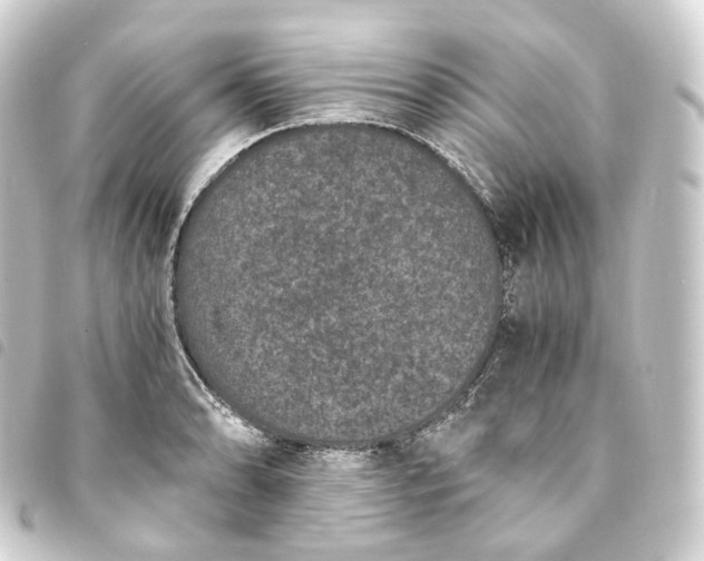 X0000093751086200710301120