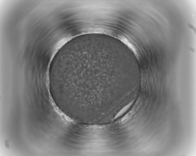 X0000093751088200710301120