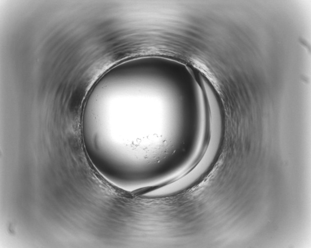 X0000093751089200710301120