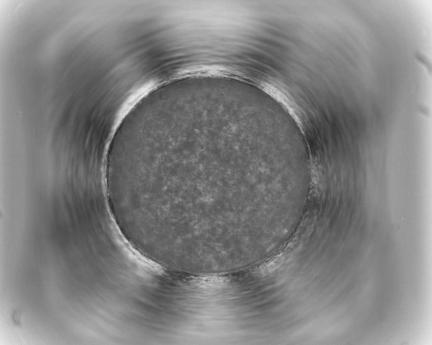 X0000093751090200710301120