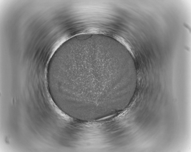 X0000093751091200710301120