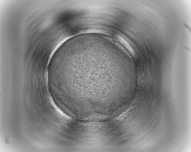 X0000093751092200710301120