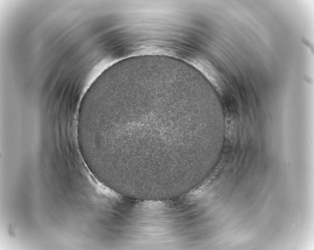 X0000093751094200710301120