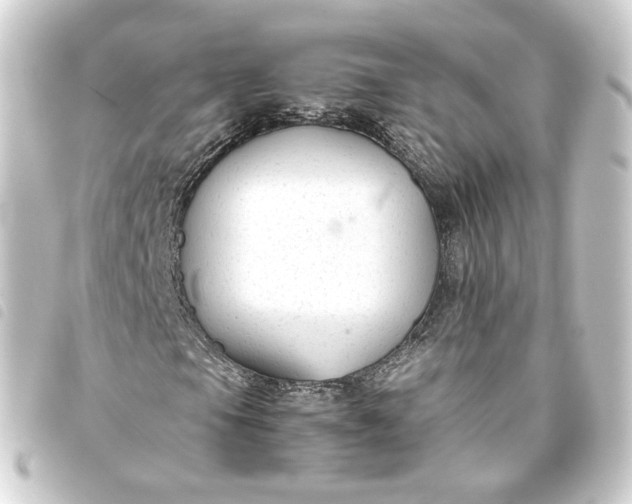 X0000093751105200710301119
