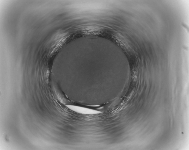 X0000093751108200710301119