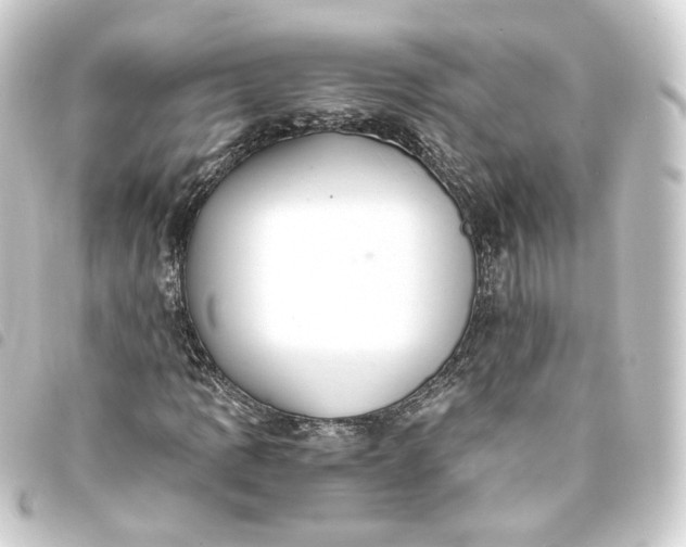 X0000093751109200710301119