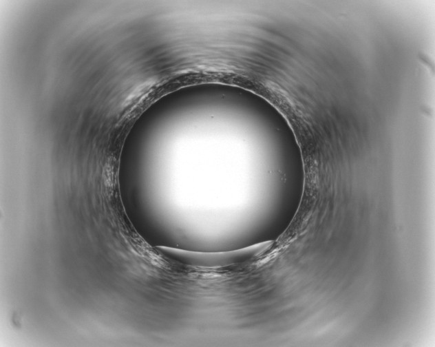 X0000093751110200710301119