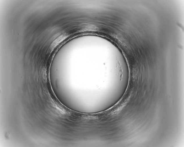 X0000093751113200710301119