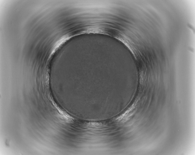 X0000093751115200710301119