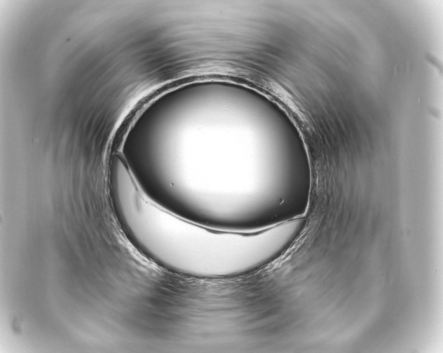 X0000093751116200710301119