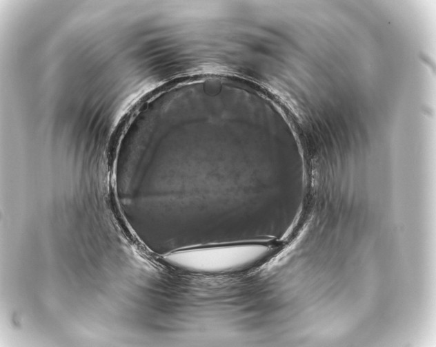 X0000093751117200710301119