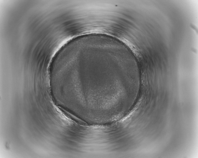 X0000093751118200710301119