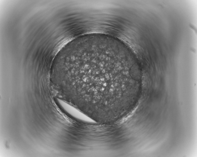 X0000093751121200710301119