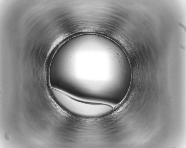 X0000093751122200710301119