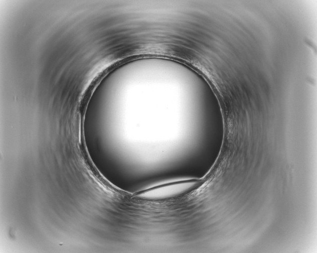 X0000093751123200710301119