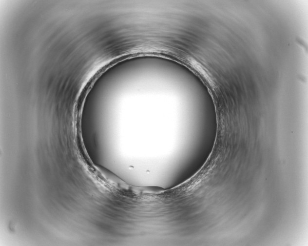 X0000093751124200710301119