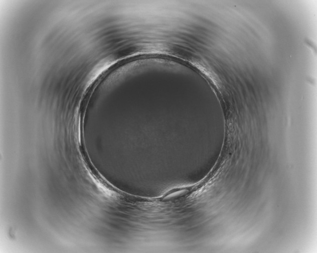 X0000093751127200710301119