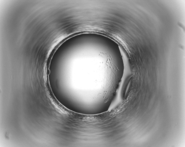 X0000093751128200710301119