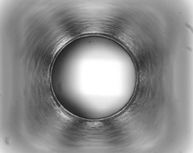 X0000093751129200710301119