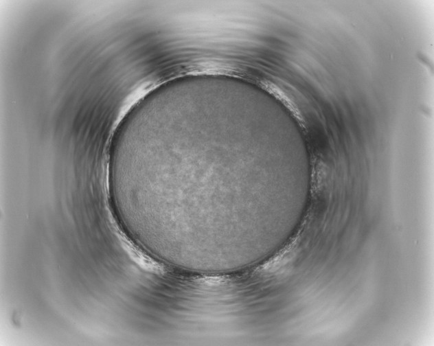 X0000093751130200710301119