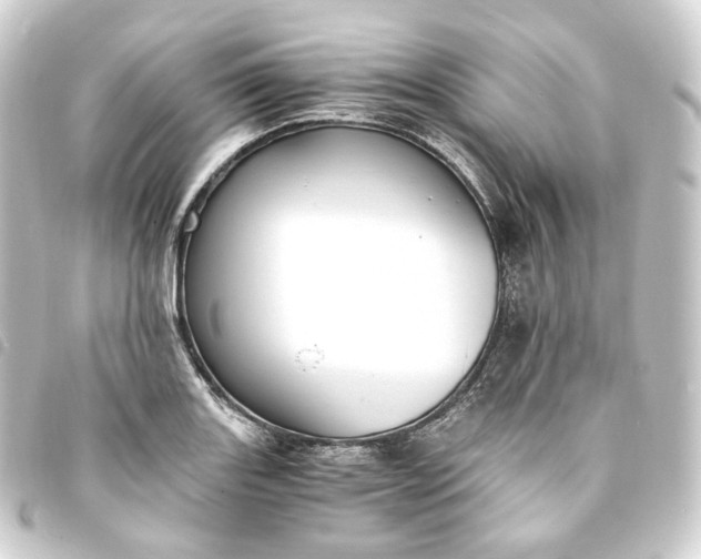 X0000093751131200710301119