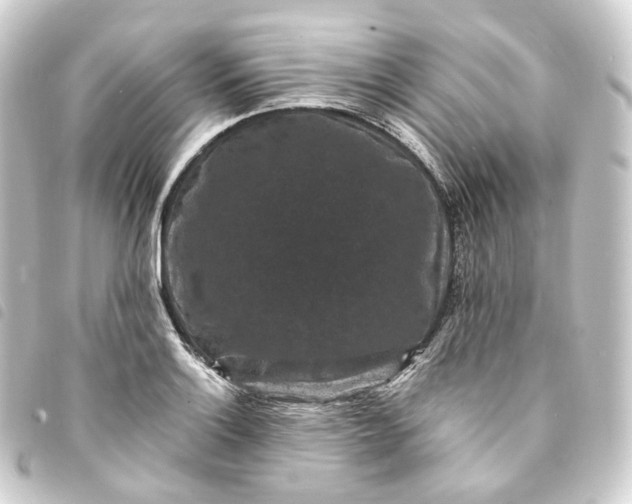 X0000093751132200710301119