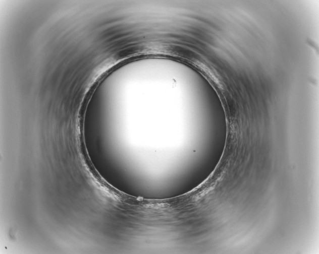 X0000093751133200710301119