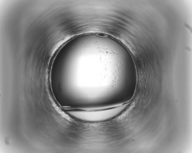 X0000093751134200710301119