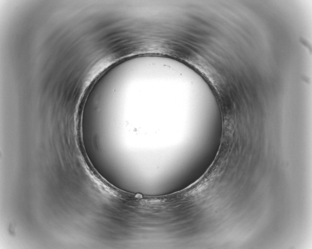 X0000093751135200710301119