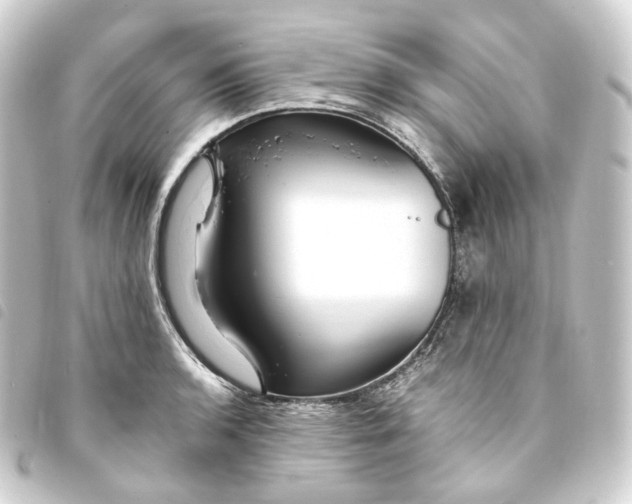 X0000093751136200710301119