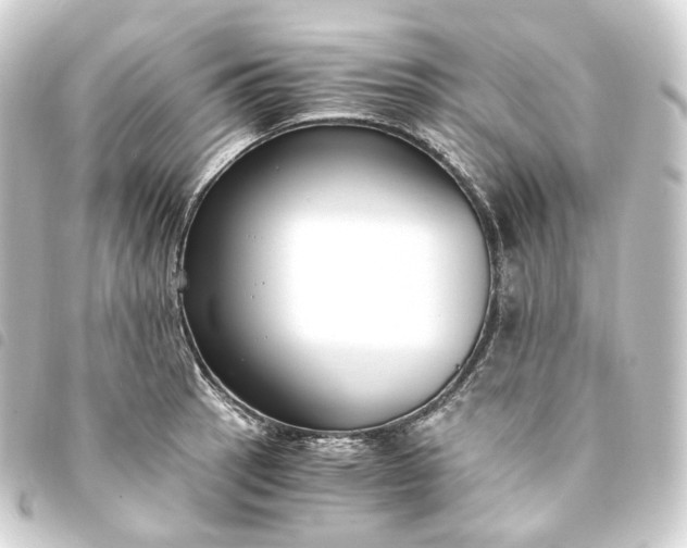 X0000093751137200710301119