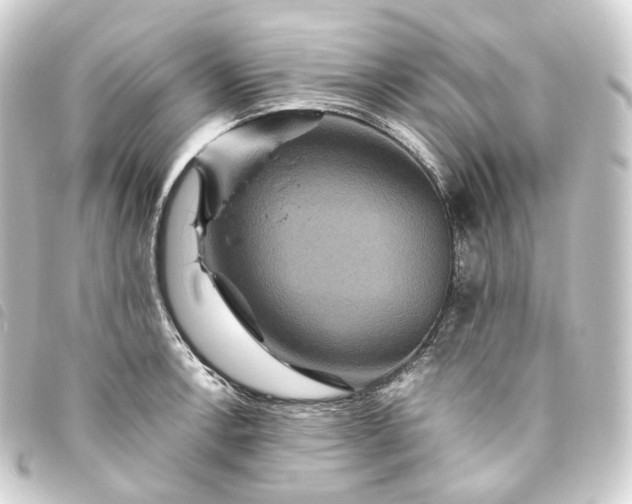 X0000093751138200710301119