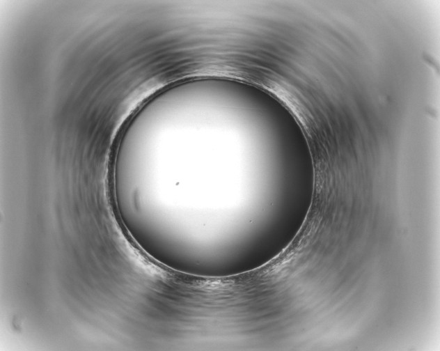 X0000093751139200710301119
