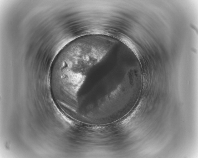X0000093751141200710301119