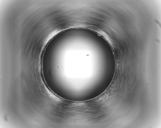X0000093751143200710301119