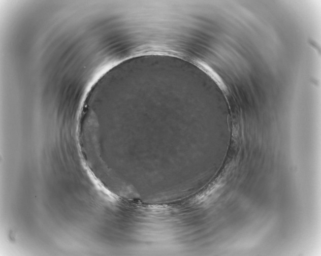X0000093751144200710301119