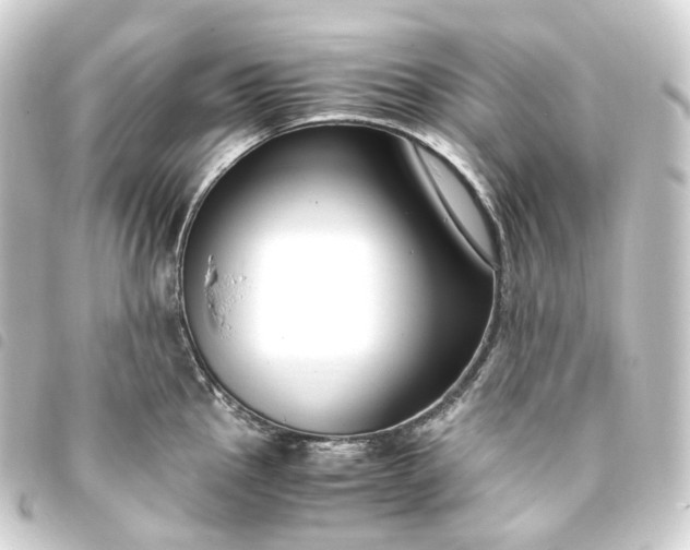 X0000093751145200710301119