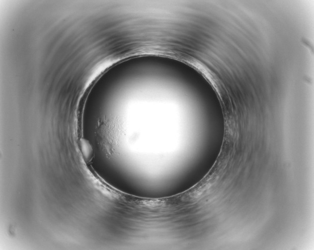 X0000093751147200710301119