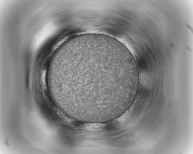 X0000093751150200710301120