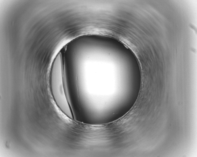 X0000093751152200710301120