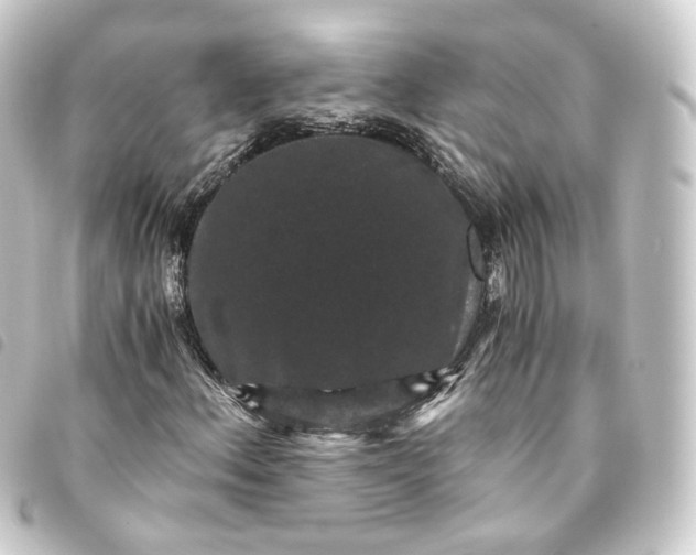 X0000093751156200710301119