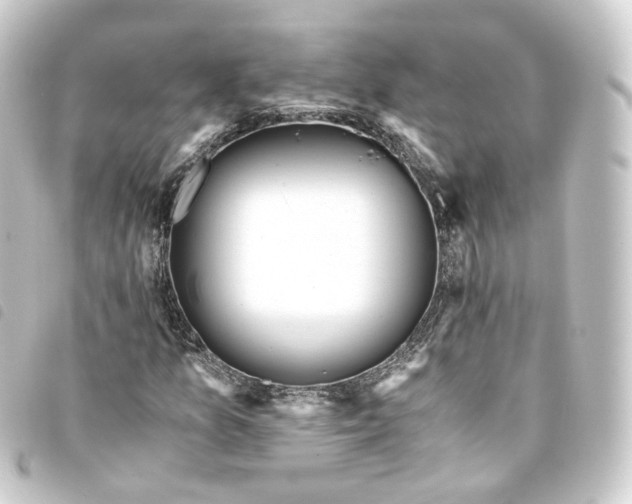 X0000093751157200710301119