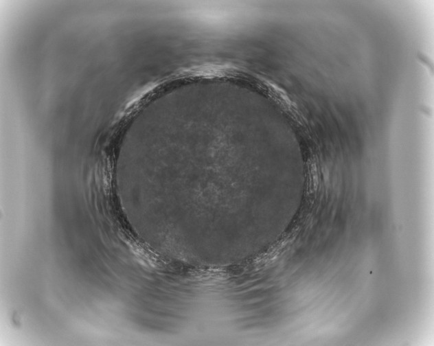 X0000093751158200710301119