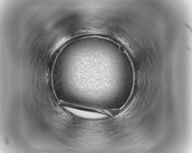 X0000093751163200710301119